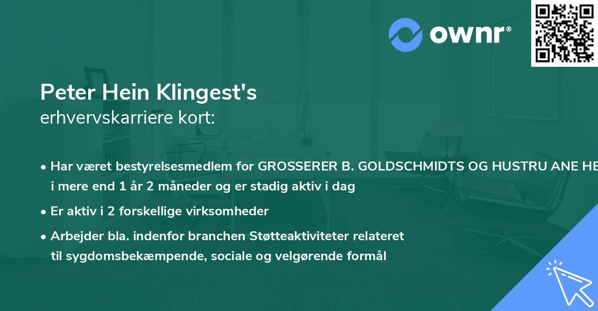 Peter Hein Klingest's erhvervskarriere kort