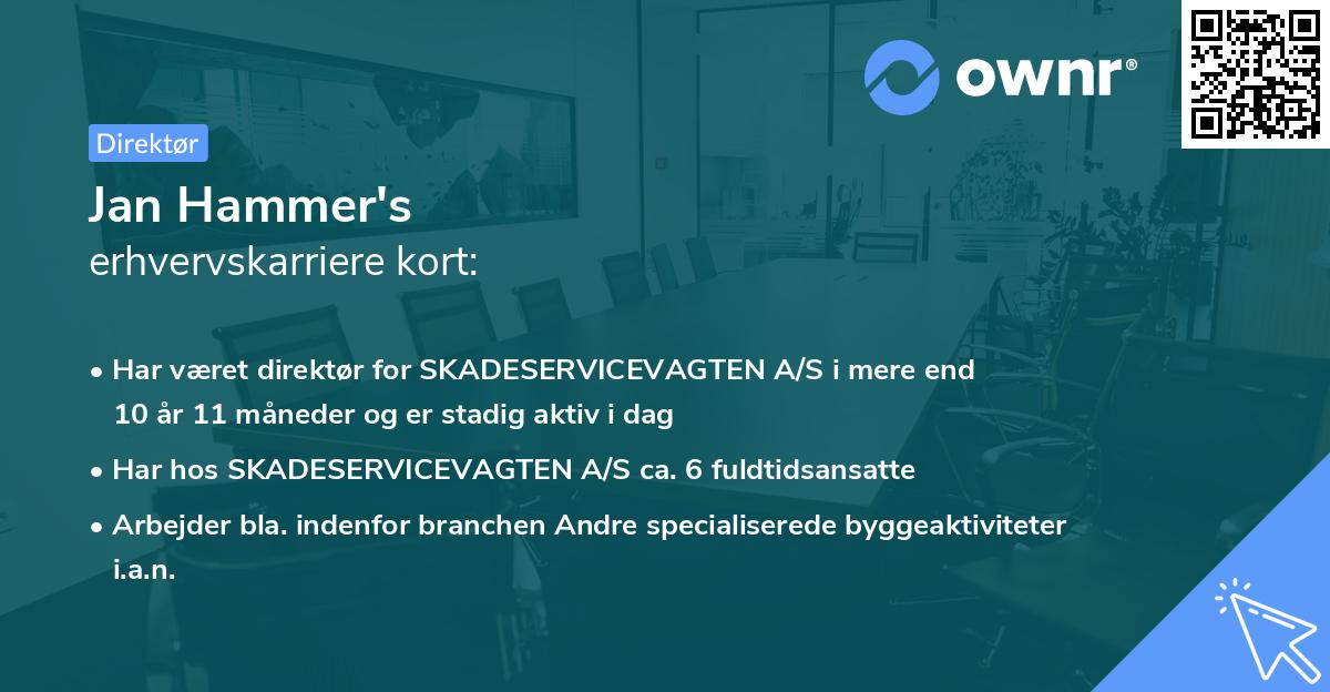 Jan Hammer's erhvervskarriere kort