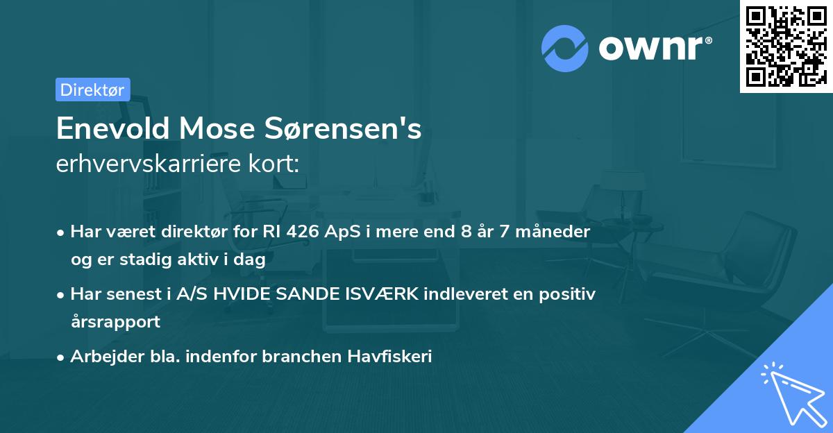 Enevold Mose Sørensen's erhvervskarriere kort