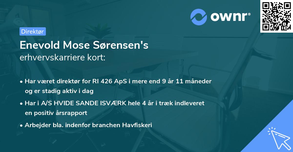 Enevold Mose Sørensen's erhvervskarriere kort