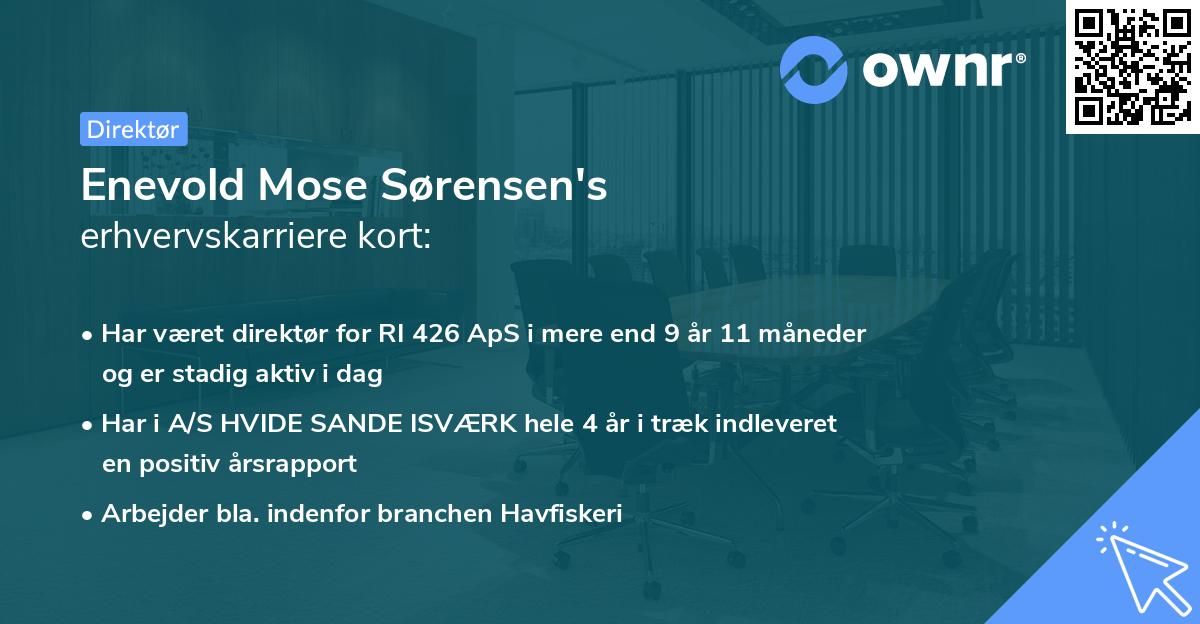 Enevold Mose Sørensen's erhvervskarriere kort