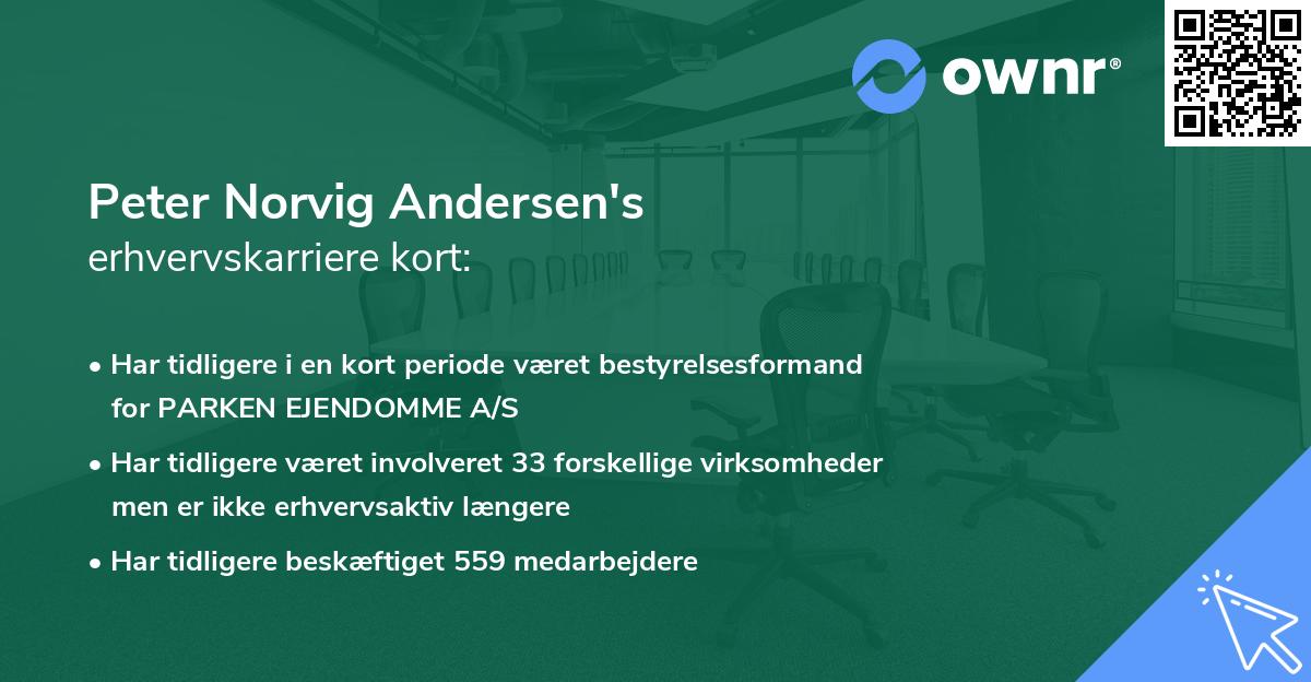 Peter Norvig Andersen's erhvervskarriere kort