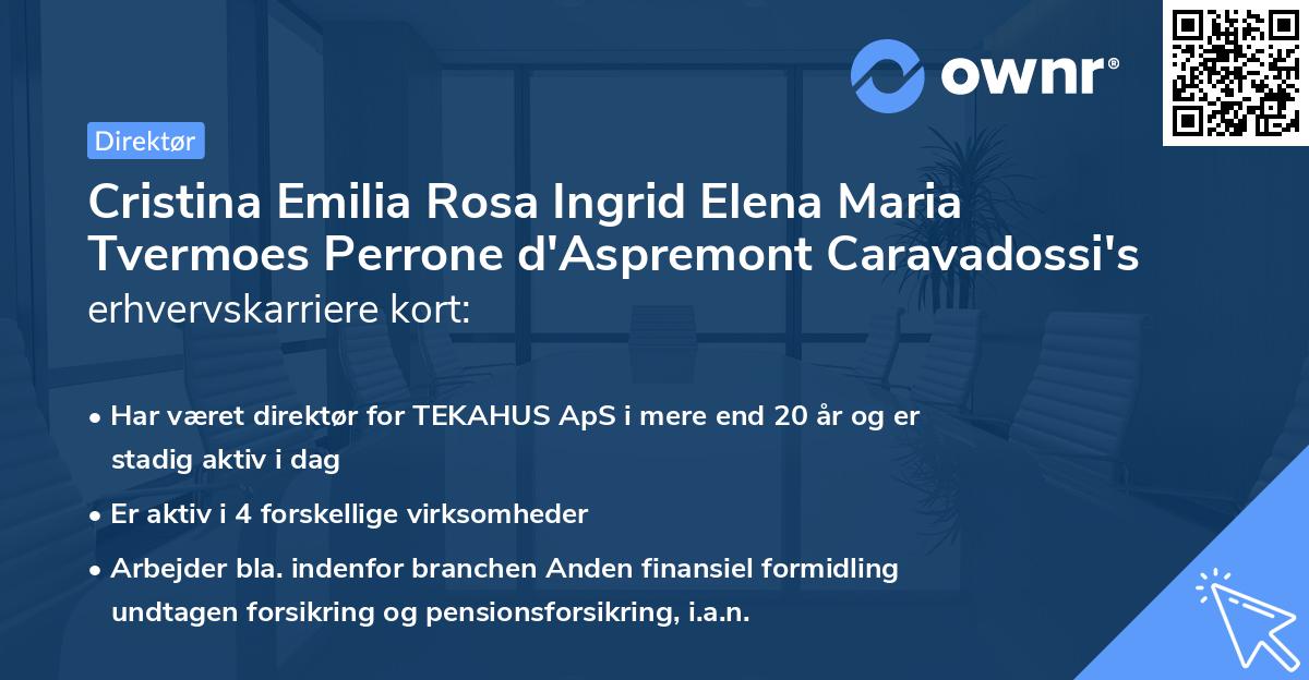 Cristina Emilia Rosa Ingrid Elena Maria Tvermoes Perrone d'Aspremont Caravadossi's erhvervskarriere kort