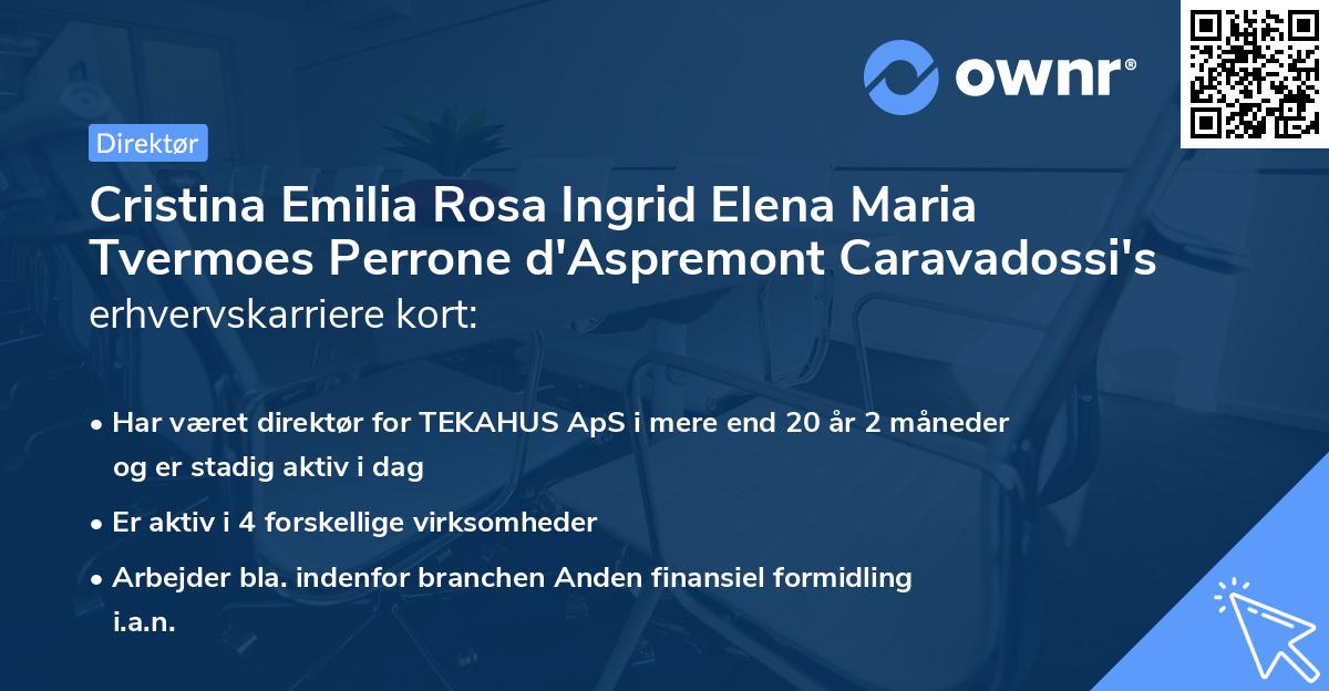 Cristina Emilia Rosa Ingrid Elena Maria Tvermoes Perrone d'Aspremont Caravadossi's erhvervskarriere kort