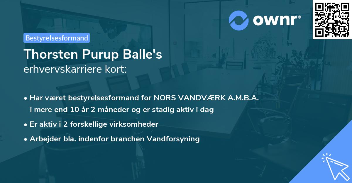 Thorsten Purup Balle's erhvervskarriere kort