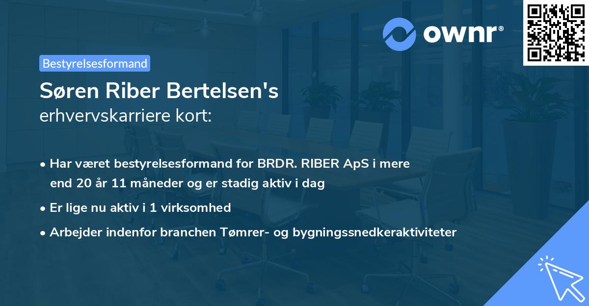 Søren Riber Bertelsen's erhvervskarriere kort