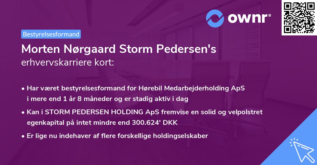 Morten Nørgaard Storm Pedersen's erhvervskarriere kort