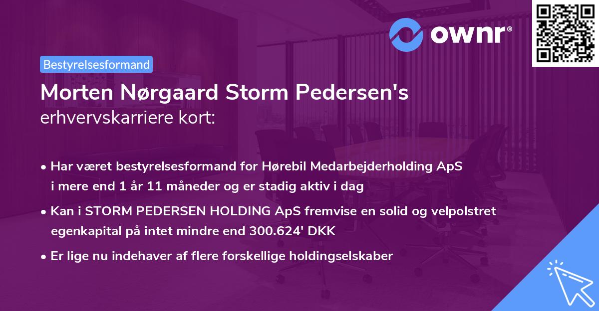 Morten Nørgaard Storm Pedersen's erhvervskarriere kort