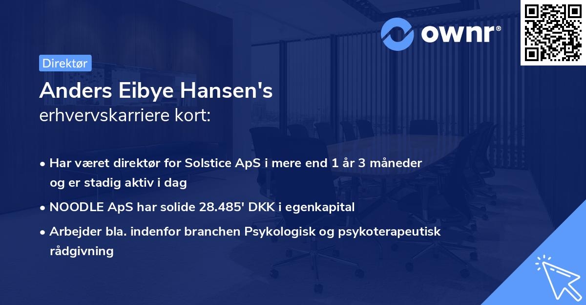 Anders Eibye Hansen's erhvervskarriere kort