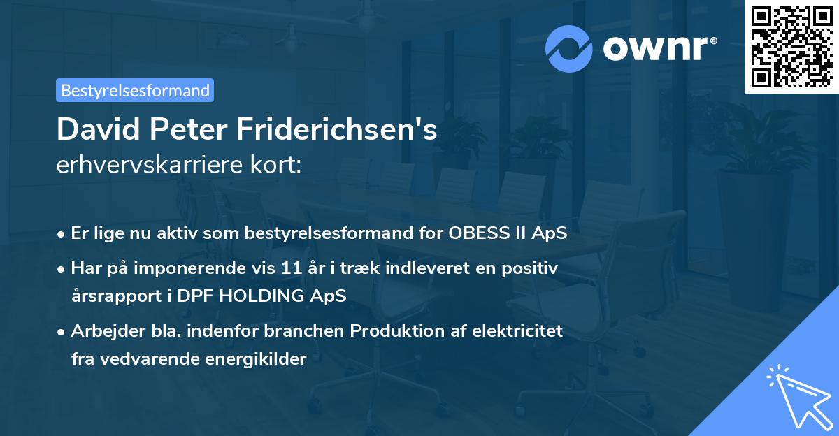 David Peter Friderichsen's erhvervskarriere kort