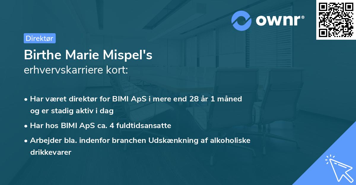 Birthe Marie Mispel's erhvervskarriere kort