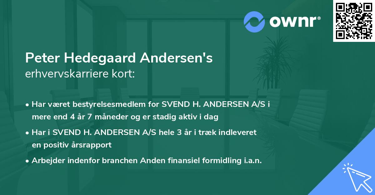 Peter Hedegaard Andersen's erhvervskarriere kort
