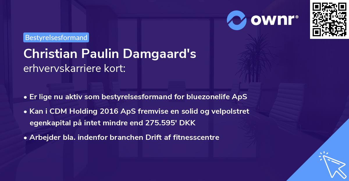Christian Paulin Damgaard's erhvervskarriere kort