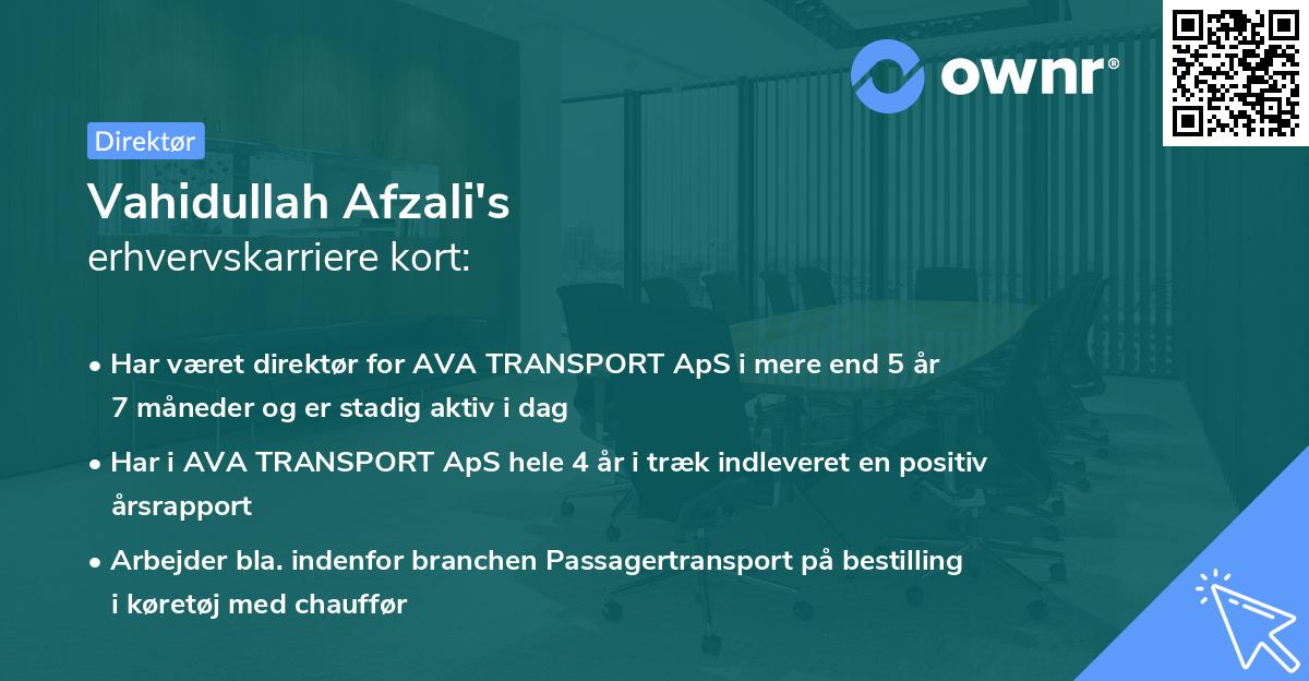 Vahidullah Afzali's erhvervskarriere kort