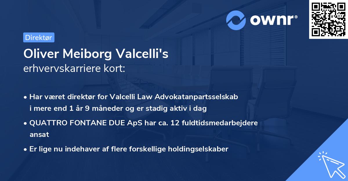 Oliver Meiborg Valcelli's erhvervskarriere kort