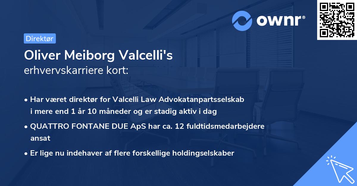 Oliver Meiborg Valcelli's erhvervskarriere kort