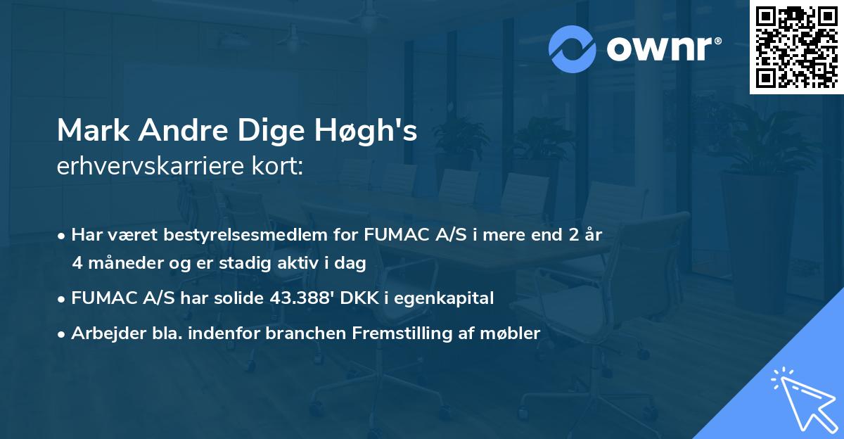 Mark Andre Dige Høgh's erhvervskarriere kort
