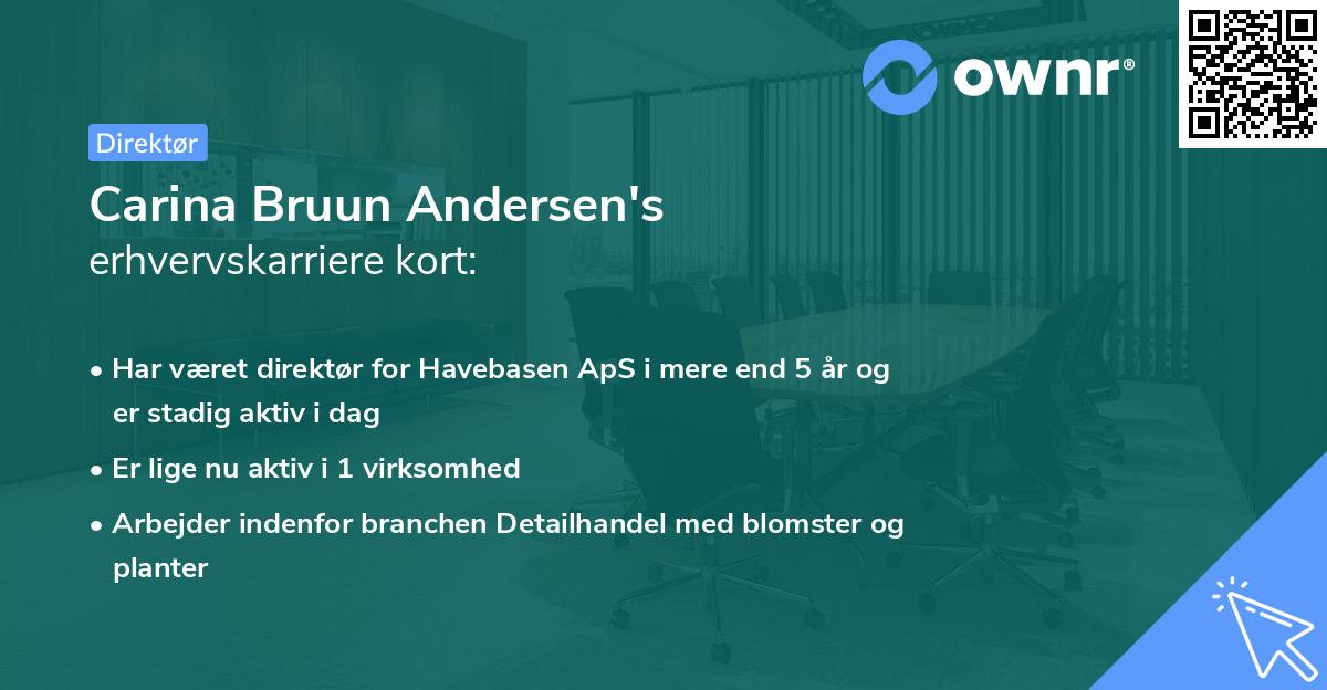 Carina Bruun Andersen's erhvervskarriere kort