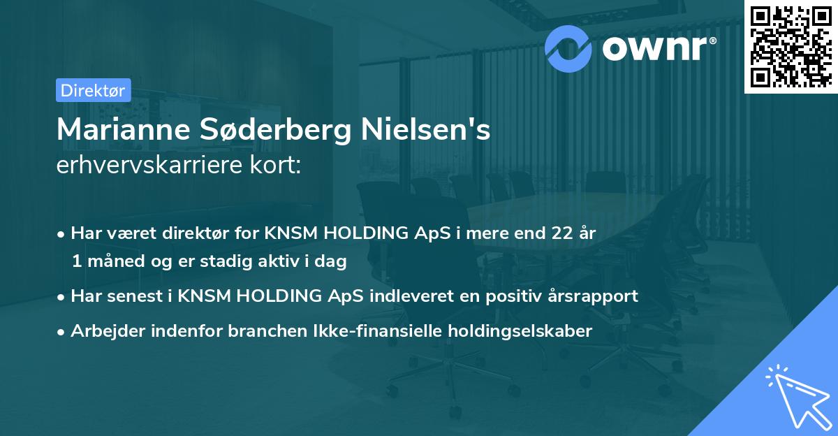 Marianne Søderberg Nielsen's erhvervskarriere kort