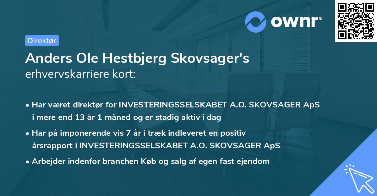 Anders Ole Hestbjerg Skovsager's erhvervskarriere kort