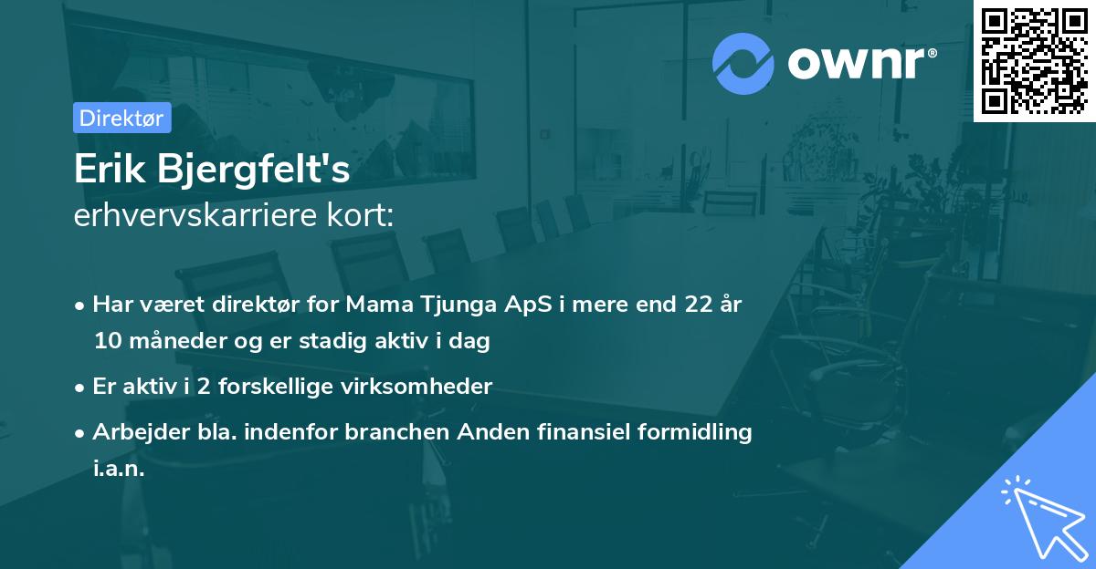 Erik Bjergfelt's erhvervskarriere kort