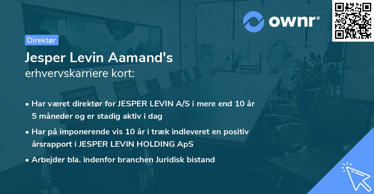 Jesper Levin Aamand's erhvervskarriere kort