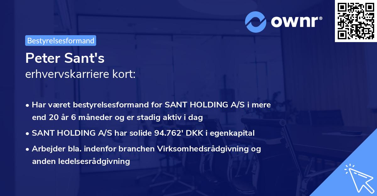 Peter Sant's erhvervskarriere kort