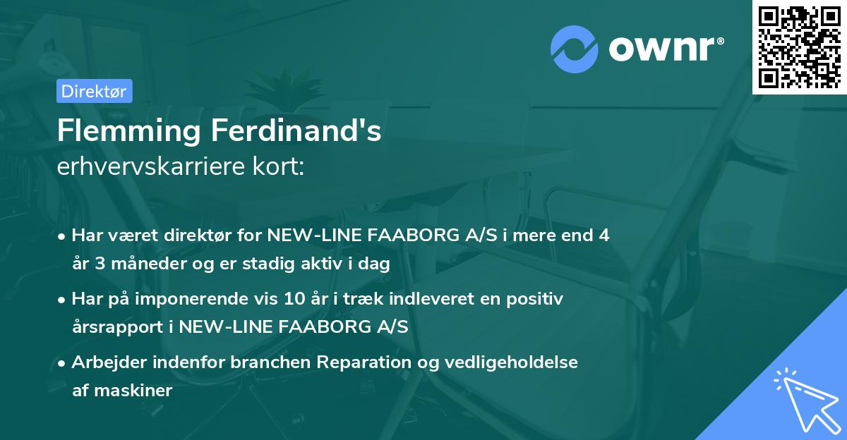 Flemming Ferdinand's erhvervskarriere kort