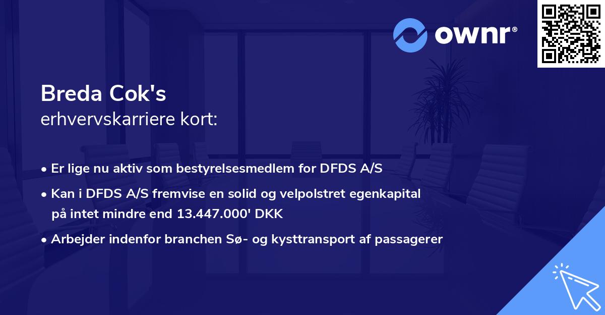 Breda Cok's erhvervskarriere kort