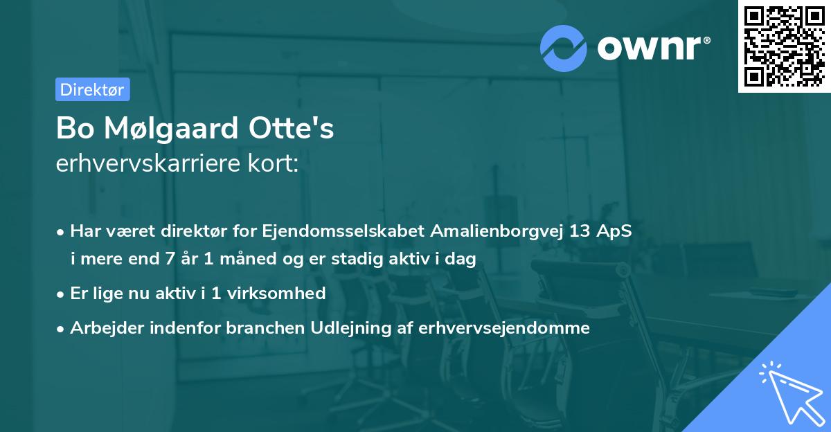 Bo Mølgaard Otte's erhvervskarriere kort
