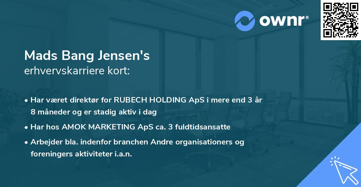 Mads Bang Jensen's erhvervskarriere kort