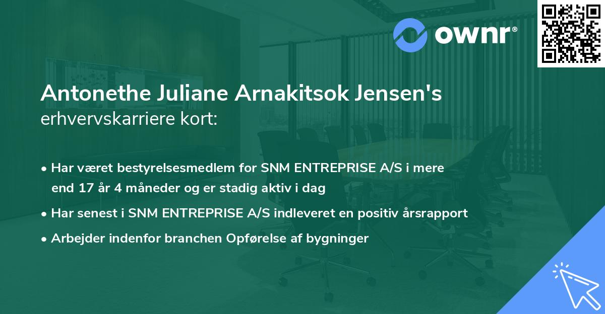 Antonethe Juliane Arnakitsok Jensen's erhvervskarriere kort