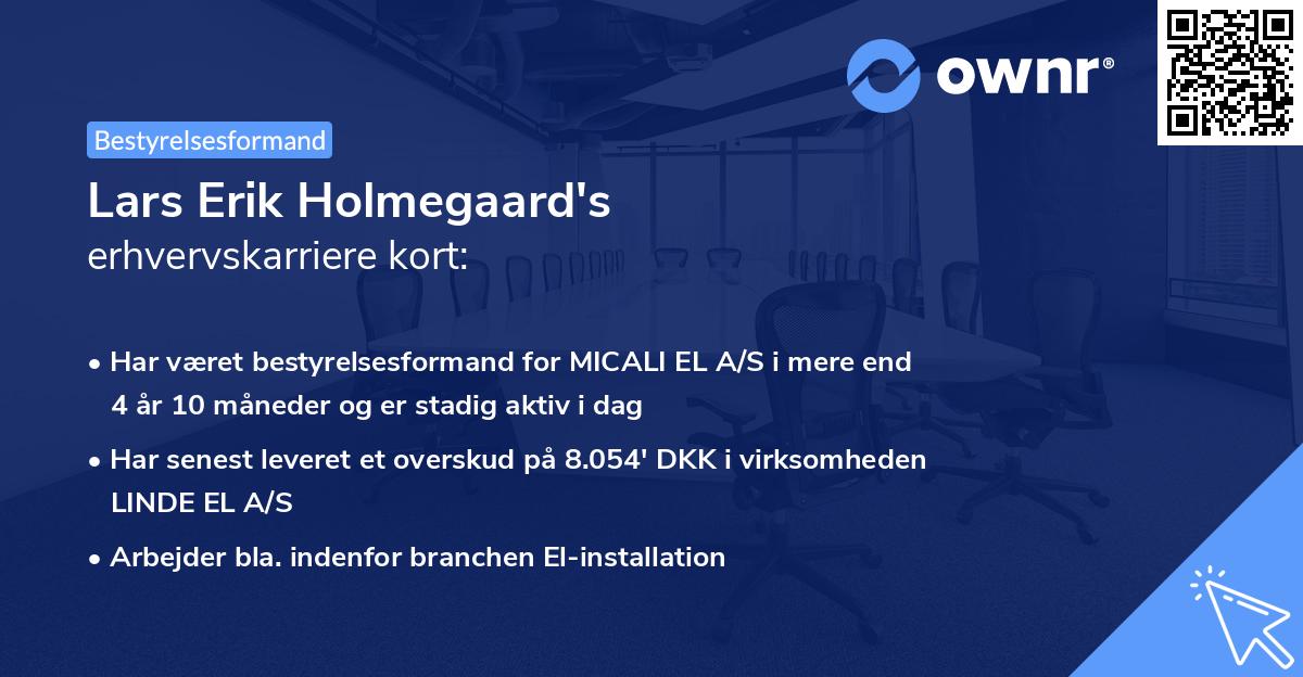 Lars Erik Holmegaard's erhvervskarriere kort