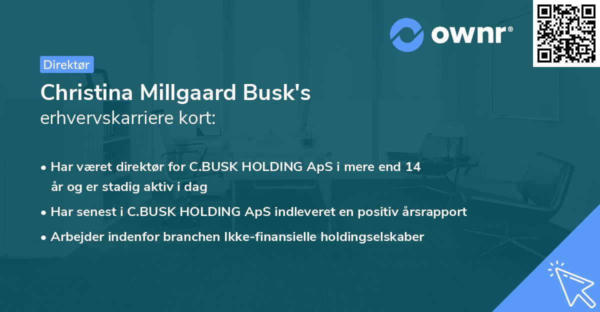 Christina Millgaard Busk's erhvervskarriere kort