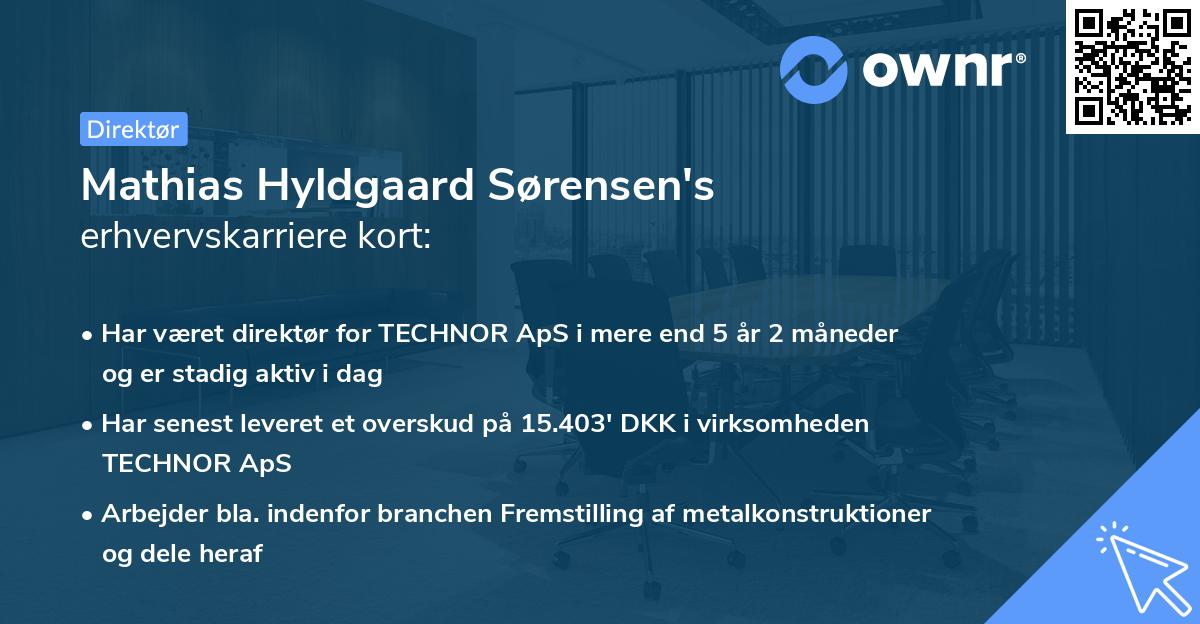 Mathias Hyldgaard Sørensen's erhvervskarriere kort