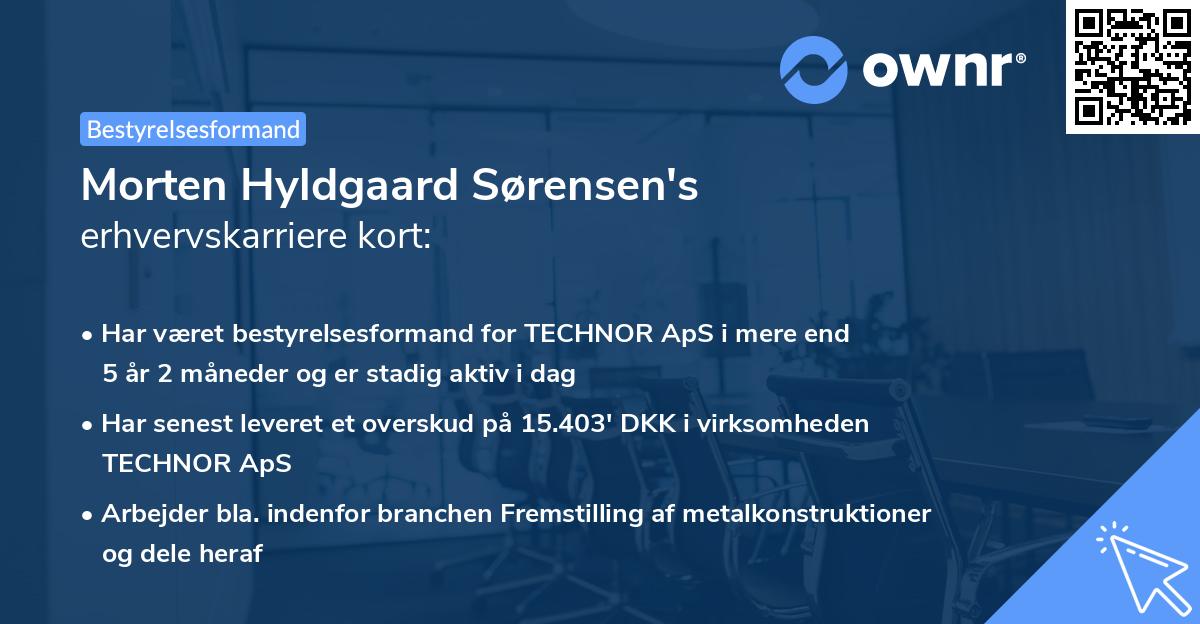Morten Hyldgaard Sørensen's erhvervskarriere kort