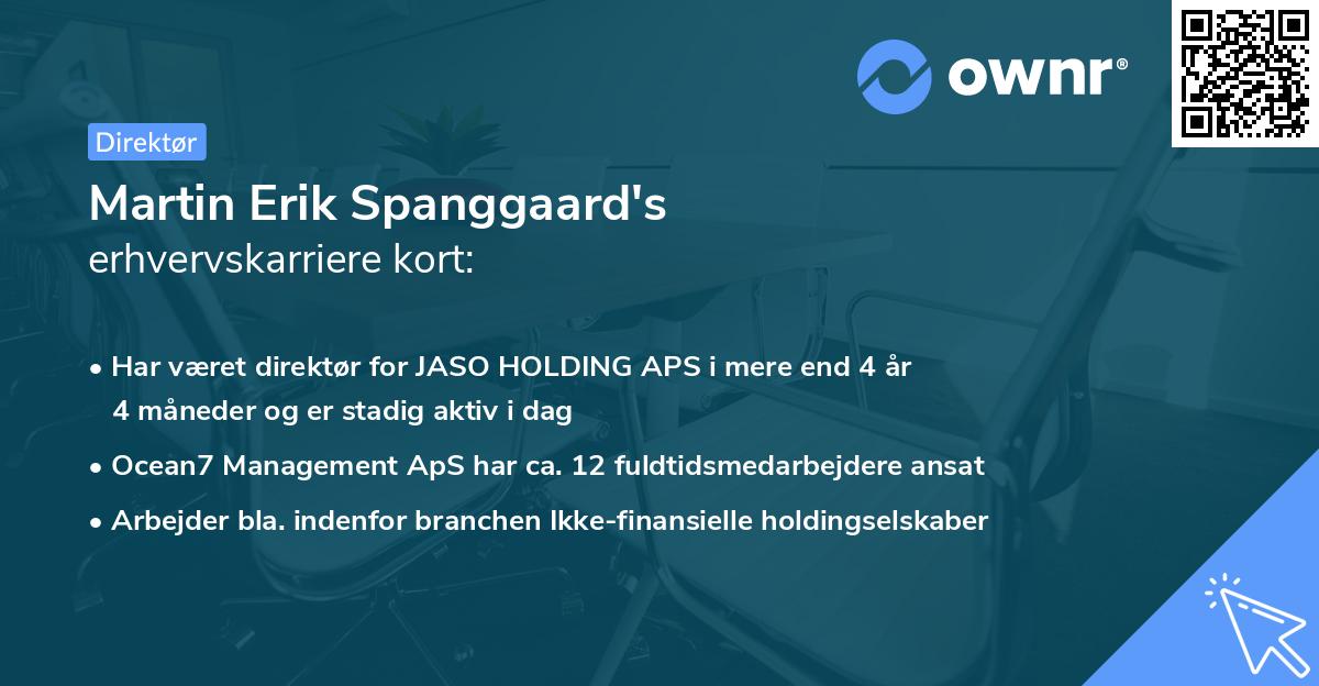 Martin Erik Spanggaard's erhvervskarriere kort