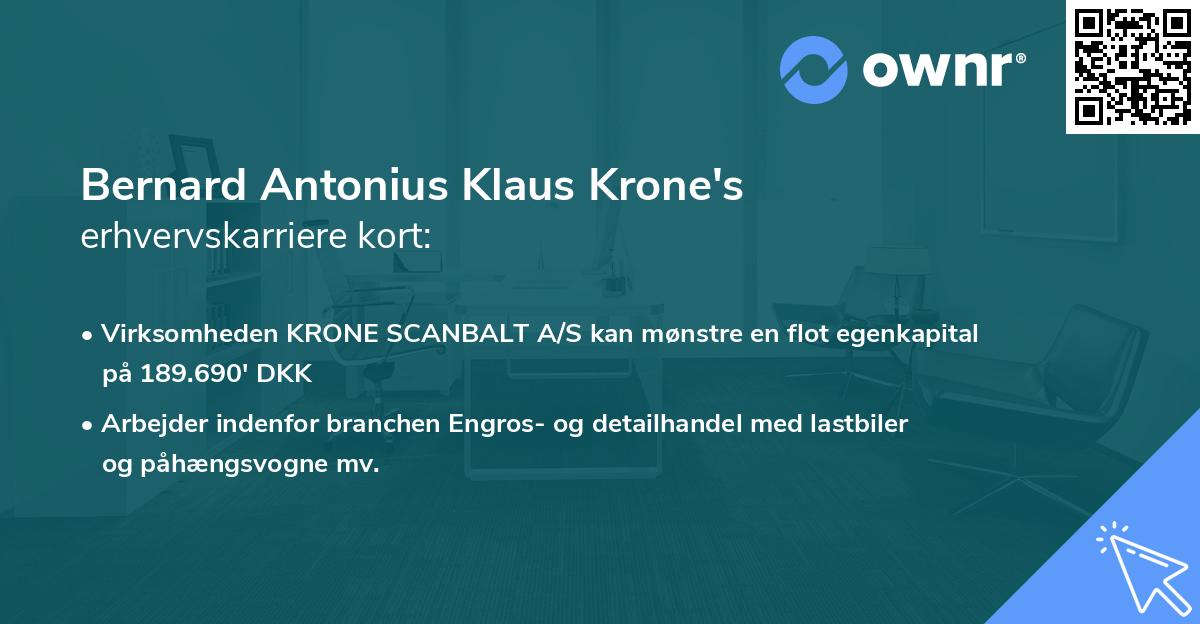 Bernard Antonius Klaus Krone's erhvervskarriere kort