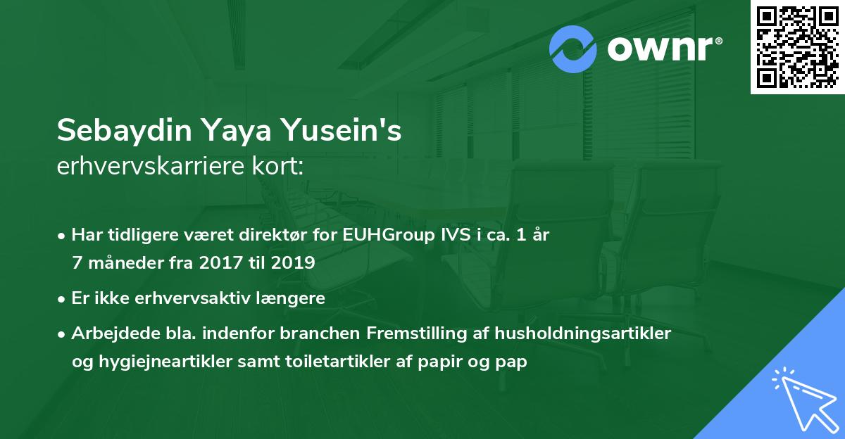Sebaydin Yaya Yusein's erhvervskarriere kort