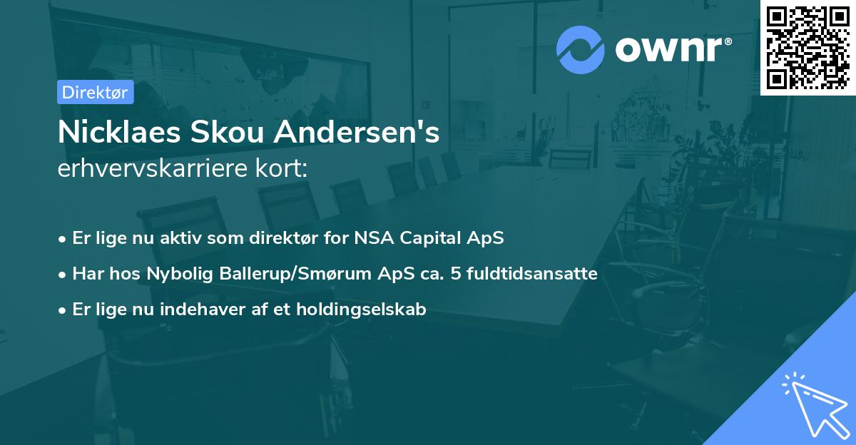 Nicklaes Skou Andersen's erhvervskarriere kort