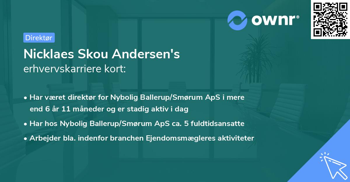 Nicklaes Skou Andersen's erhvervskarriere kort