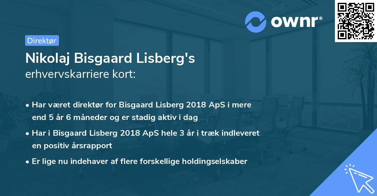 Nikolaj Bisgaard Lisberg's erhvervskarriere kort