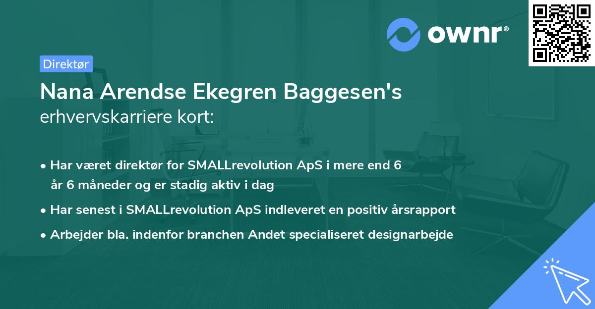 Nana Arendse Ekegren Baggesen's erhvervskarriere kort