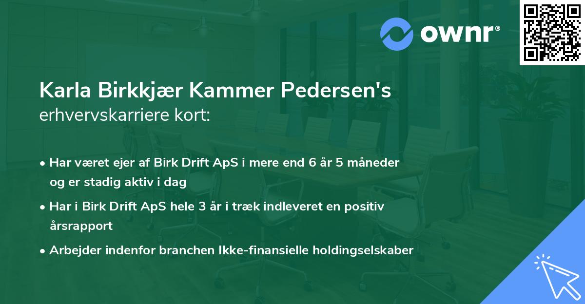 Karla Birkkjær Kammer Pedersen's erhvervskarriere kort