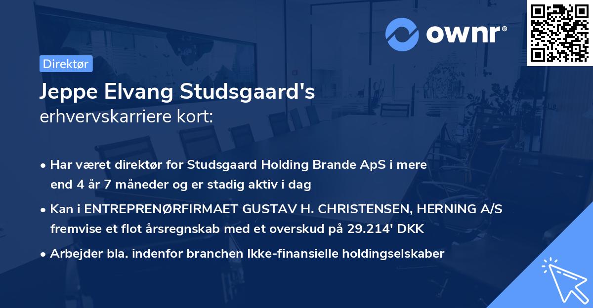 Jeppe Elvang Studsgaard's erhvervskarriere kort