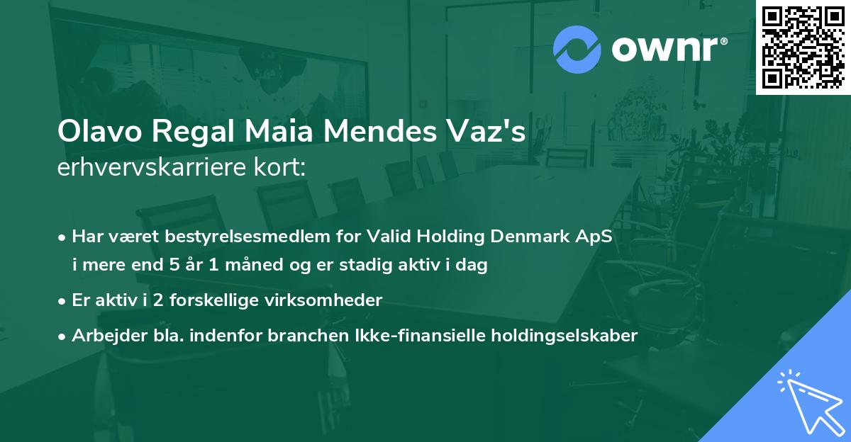 Olavo Regal Maia Mendes Vaz's erhvervskarriere kort