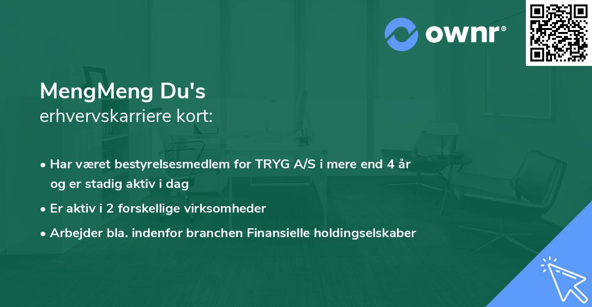 MengMeng Du's erhvervskarriere kort