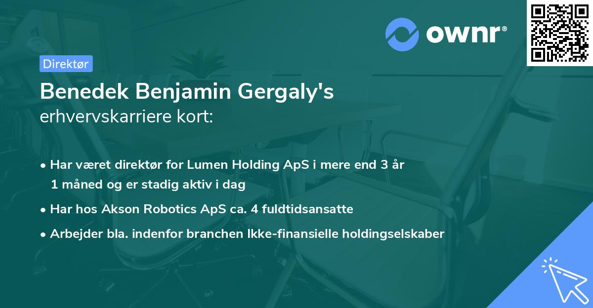Benedek Benjamin Gergaly's erhvervskarriere kort