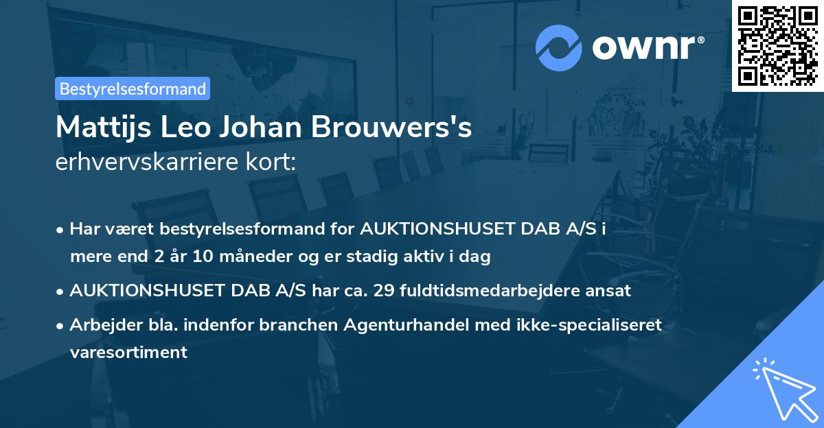 Mattijs Leo Johan Brouwers's erhvervskarriere kort