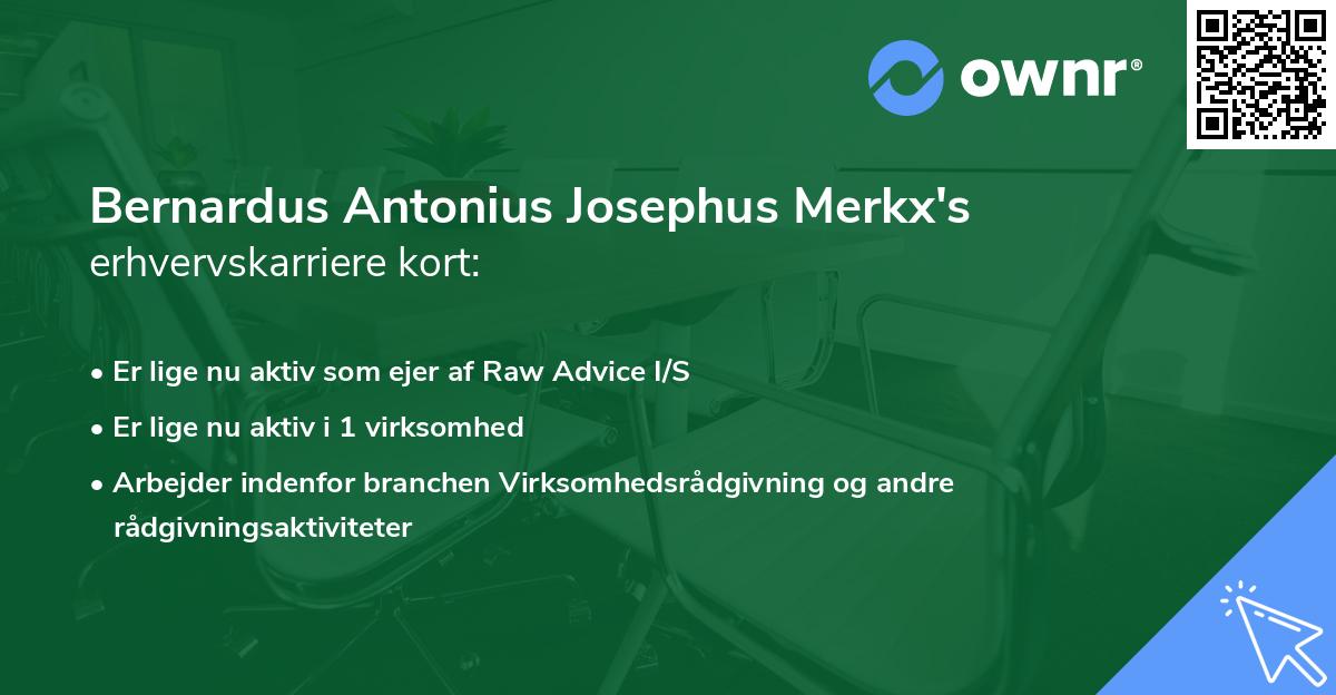 Bernardus Antonius Josephus Merkx's erhvervskarriere kort